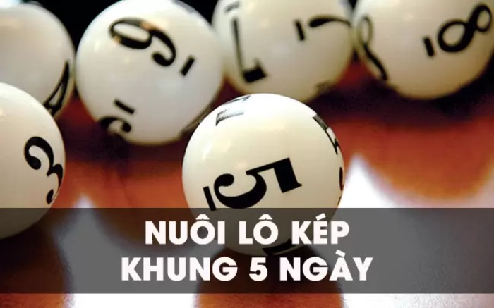 Thế nào là nuôi lô cặp khung 5 ngày?