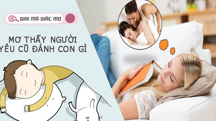 Giải mã khi mơ thấy người yêu cũ đánh con gì ? Báo hiệu điều gì?