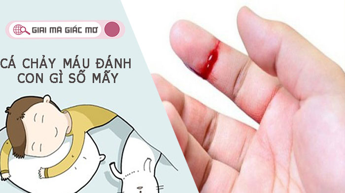 Mơ thấy chảy máu đánh con gì - ẩn chứa ý nghĩa gì