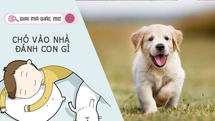 Mơ chó vào nhà đánh con gì? Báo hiệu may mắn hay xui rủi?