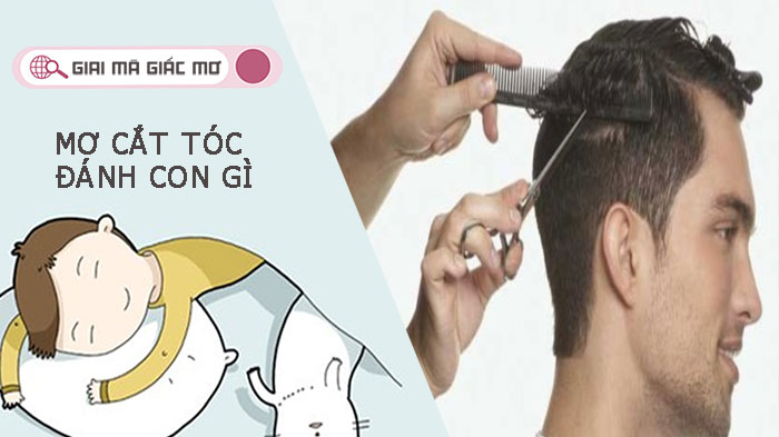 Mơ cắt tóc đánh con gì? Điềm báo gì khi mơ thấy giấc mơ này?