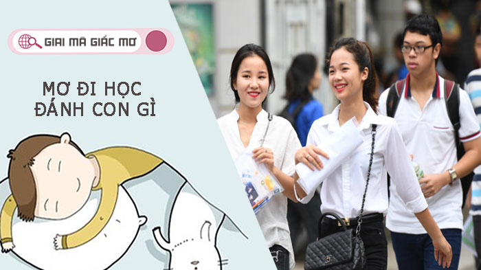 Mơ đi học đánh con gì - Giải mã chi tiết về giấc mơ thấy đi học