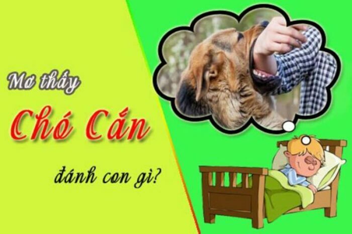 Mơ chó cắn vào tay đánh con gì thắng lớn