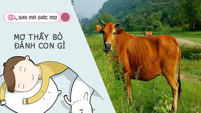 Mơ thấy bò đánh con gì để gia tăng tỉ lệ thắng cược 