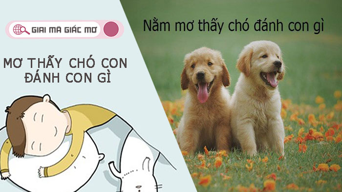 Mơ thấy chó con đánh con gì để có thể đổi vận, trúng lớn?