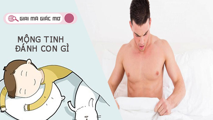 Mơ mộng tinh đánh con gì? Giải mã giấc mơ mộng tinh