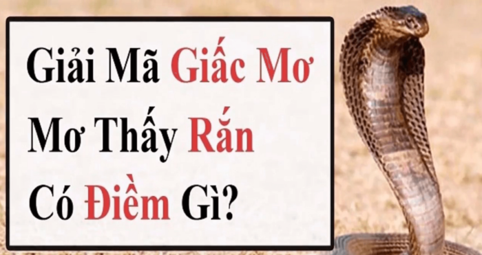 Giấc chiêm bao thấy rắn cắn chân thì sẽ có những điềm báo gì?