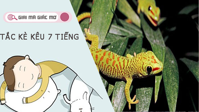 Tắc kè kêu 7 tiếng đánh đề số gì để chuẩn xác nhất