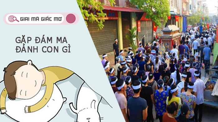 Nằm mơ gặp thấy đám ma đánh con gì? Điềm báo lành hay dữ?