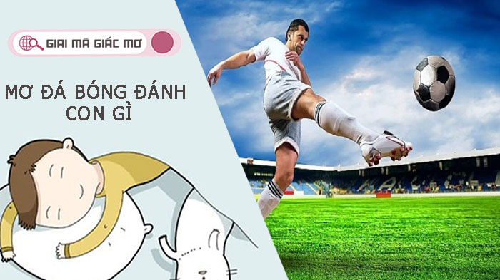 Nằm mơ đá bóng đánh con gì? Giải mã giấc mơ thấy đá bóng