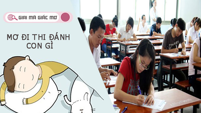 Gặp giấc mơ đi thi đánh con gì để có cơ hội trúng lớn