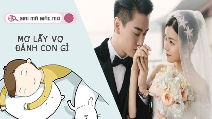 Nằm mơ lấy vợ đánh con gì? Điềm báo gì cho chủ mộng?