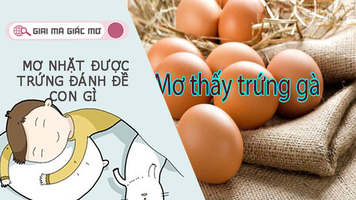 Nhặt được trứng gà đánh con gì - giải mã giấc mơ nhặt được trứng gà