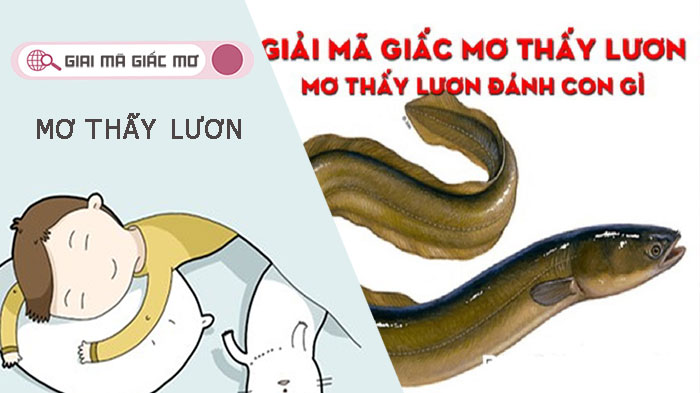 Mơ thấy lươn - Những con số may mắn liên quan tới giấc mộng