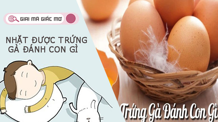 Nhặt được trứng gà đánh con gì - giải mã giấc mơ nhặt được trứng gà